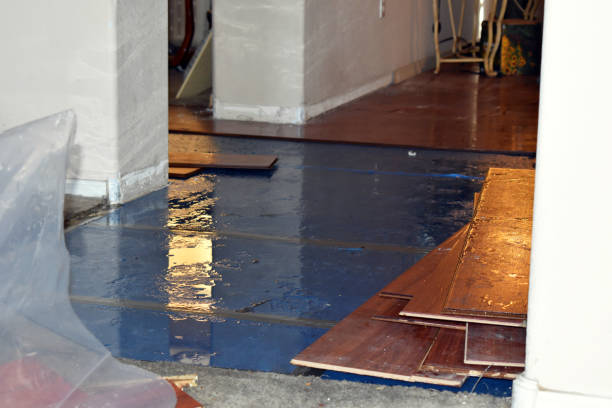 Professional Basement Flood Cleanup technician working in Marlow, NH